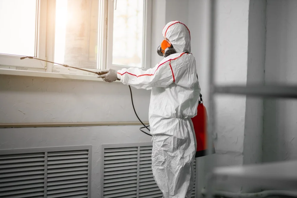 Professional mold remediation services in Brookfield, MA
